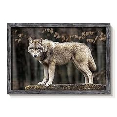 Wolf framed wall for sale  Delivered anywhere in USA 