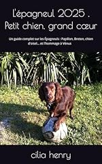épagneul 2025 petit d'occasion  Livré partout en France