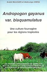 Andropogon gayanus var d'occasion  Livré partout en Belgiqu
