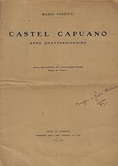 Castel capuano. anno usato  Spedito ovunque in Italia 