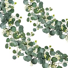 Rollway stück eukalyptus gebraucht kaufen  Wird an jeden Ort in Deutschland