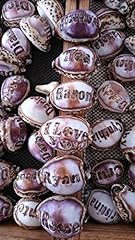 Enrique personalized seashells for sale  Delivered anywhere in USA 