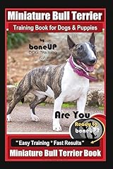Miniature bull terrier for sale  Delivered anywhere in USA 
