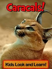 Caracals learn caracals for sale  Delivered anywhere in USA 