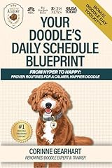 Daily routines doodles for sale  Delivered anywhere in USA 