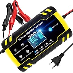 Caricabatteria auto 12v usato  Spedito ovunque in Italia 
