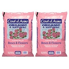 Coast maine roses for sale  Delivered anywhere in USA 