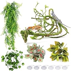 Quozuo reptile plants for sale  Delivered anywhere in UK