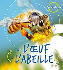 Oeuf abeille d'occasion  Livré partout en France