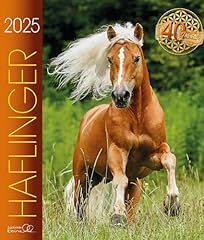 Haflinger 2025 haflinger gebraucht kaufen  Wird an jeden Ort in Deutschland