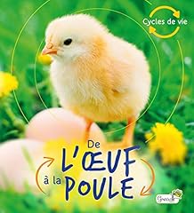 Oeuf poule d'occasion  Livré partout en France