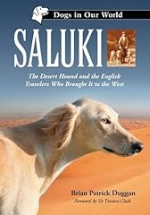Saluki desert hound for sale  Delivered anywhere in UK