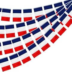 11m flaggenkette girlande gebraucht kaufen  Wird an jeden Ort in Deutschland