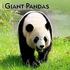 Giant pandas 2024 for sale  Delivered anywhere in USA 