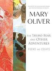 Truro bear adventures for sale  Delivered anywhere in USA 