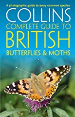British butterflies moths for sale  Delivered anywhere in UK