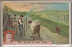 Nel paese dello usato  Spedito ovunque in Italia 