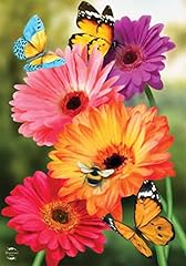 Garden gerber daisies for sale  Delivered anywhere in USA 