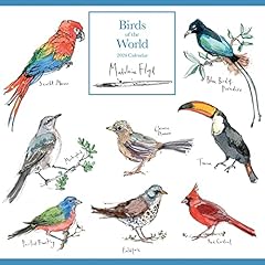Madeleine floyd birds for sale  Delivered anywhere in UK