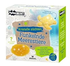 Moses verlag funkelnde gebraucht kaufen  Wird an jeden Ort in Deutschland