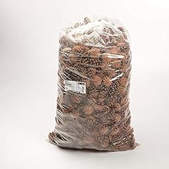 Floristrywarehouse pine cones for sale  Delivered anywhere in UK