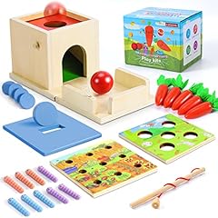 Cooljoy montessori spielzeug gebraucht kaufen  Wird an jeden Ort in Deutschland
