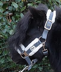 Ruggles shetland pony for sale  Delivered anywhere in UK