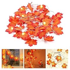 Hiullen herbst lichterkette gebraucht kaufen  Wird an jeden Ort in Deutschland