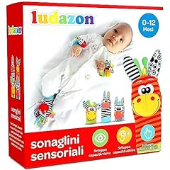 Ludazon sonaglini sensoriali usato  Spedito ovunque in Italia 