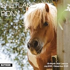 2026 wall calendar for sale  Delivered anywhere in UK