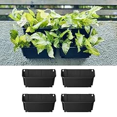 Maxona black color for sale  Delivered anywhere in USA 