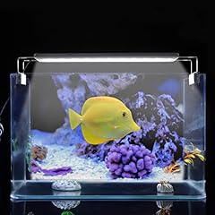Qcwwy mini fischtank gebraucht kaufen  Wird an jeden Ort in Deutschland