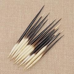 Pcs black porcupine for sale  Delivered anywhere in UK