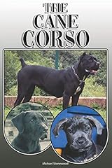 Cane corso complete for sale  Delivered anywhere in UK