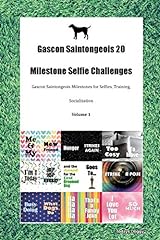 Gascon saintongeois milestone d'occasion  Livré partout en France