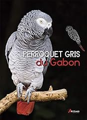 Perroquet gris gabon d'occasion  Livré partout en Belgiqu