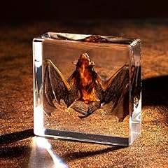 Taxidermy bat resin for sale  Delivered anywhere in UK