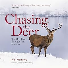 Chasing deer red for sale  Delivered anywhere in UK