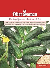 Einlegegurken samen diamant gebraucht kaufen  Wird an jeden Ort in Deutschland