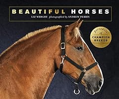 Beautiful horses portraits gebraucht kaufen  Wird an jeden Ort in Deutschland