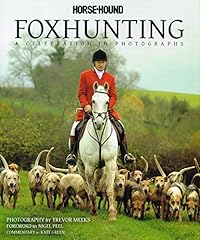 Foxhunting horse hound for sale  Delivered anywhere in UK