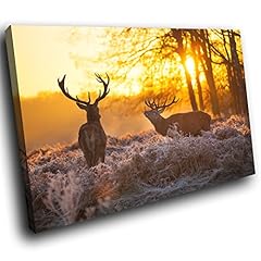 A545 arctic forest for sale  Delivered anywhere in UK