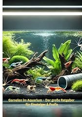 Garnelen aquarium große gebraucht kaufen  Wird an jeden Ort in Deutschland