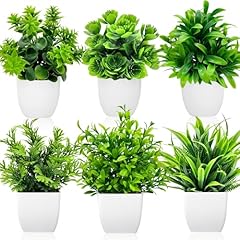 Yejikj petite plantes d'occasion  Livré partout en France