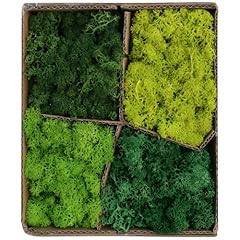 Reindeer moss fake for sale  Delivered anywhere in USA 