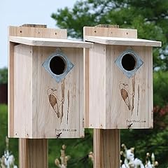 Bestnest classic three for sale  Delivered anywhere in USA 