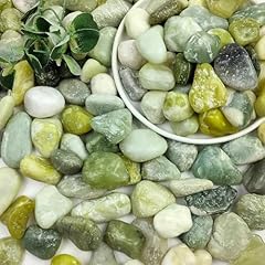 Shizwu 5lb succulent for sale  Delivered anywhere in USA 