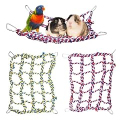 Pack colorful bird for sale  Delivered anywhere in UK