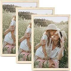 Momentworth 16x24 frame for sale  Delivered anywhere in USA 