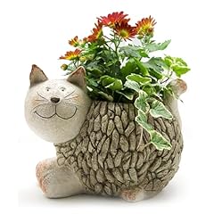 Purrfect cat gifts for sale  Delivered anywhere in UK